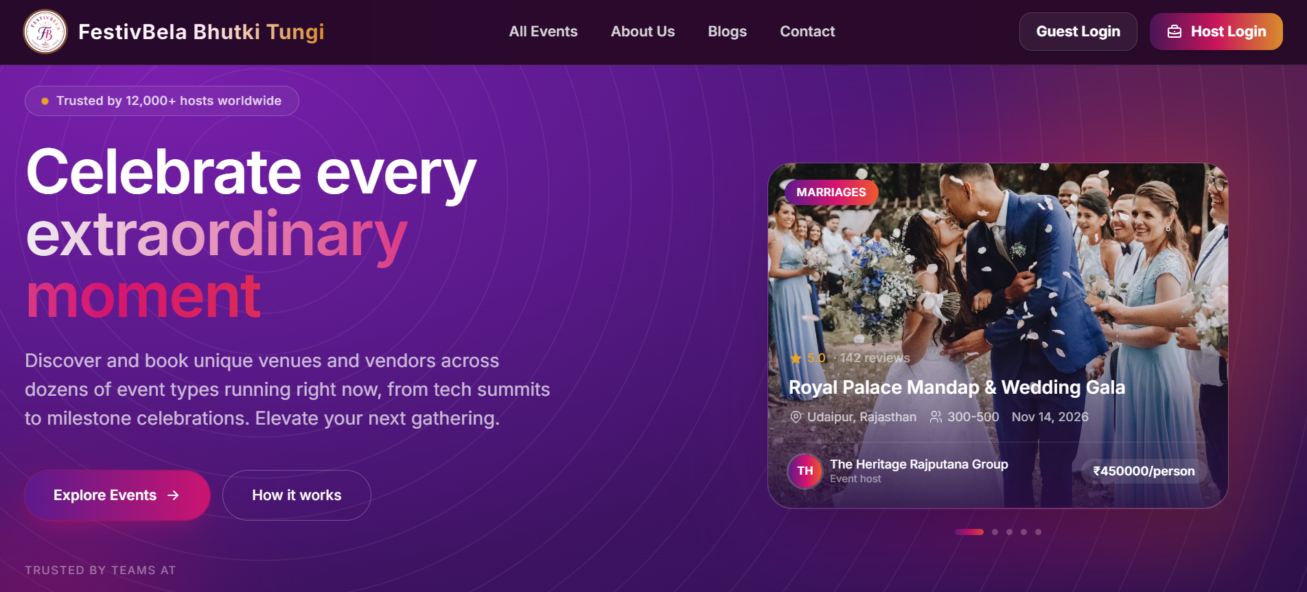 FestivBela — Event Planning Ecosystem case study by TurtlTech